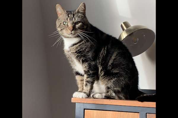 Faversham, England, United Kingdom