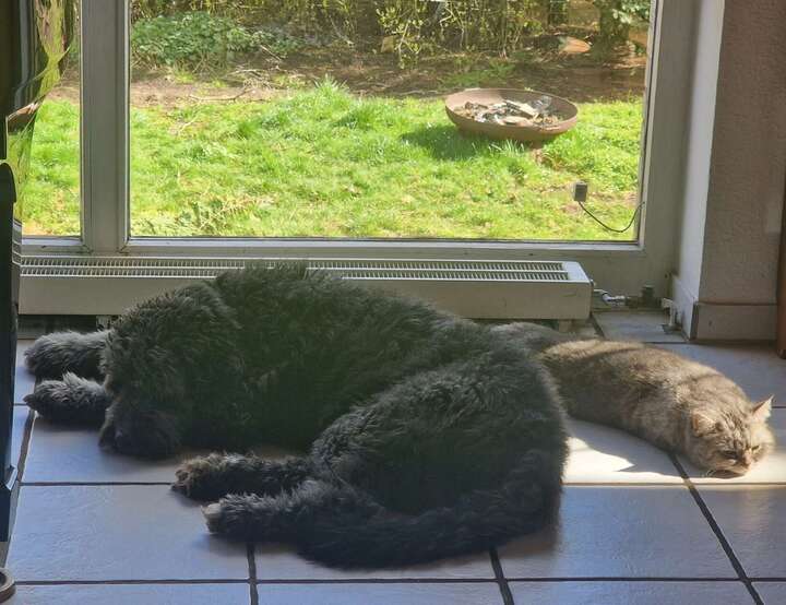 Mühltal, Hessen, Germany