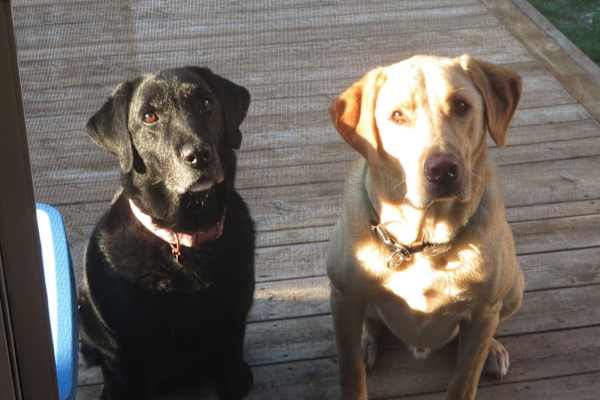 Pincourt, Quebec, Canada