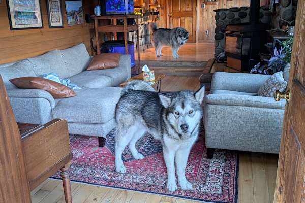 Steamboat Springs, Colorado, United States