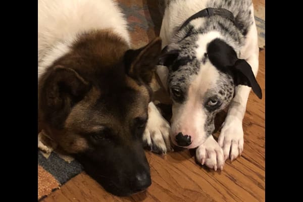 Baton Rouge, Louisiana, United States