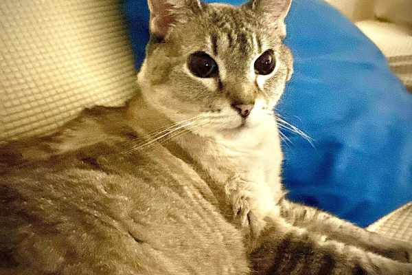 San Miguel de Allende, Guanajuato, Mexico