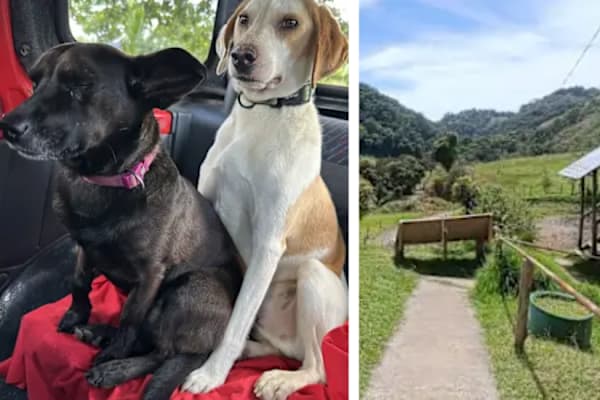 Zarcero, Alajuela, Costa Rica