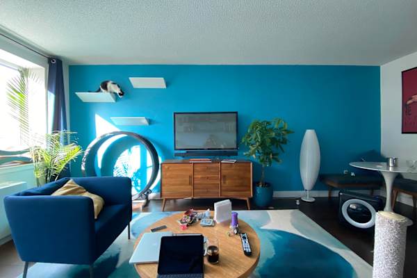 New York City, New York, United States