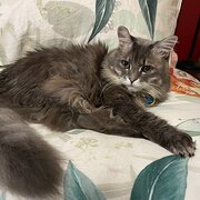 Wembley, Western Australia, Australia