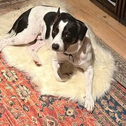 Wellard, Western Australia, Australia