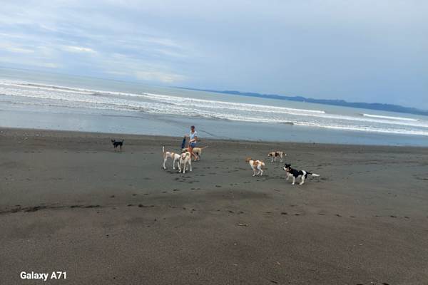 Puerto Armuelles, Chiriqui, Panama