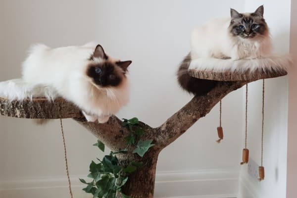 Chichester, England, United Kingdom