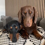 Henley Brook, Western Australia, Australia