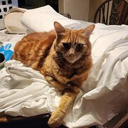 Narrogin., Western Australia, Australia