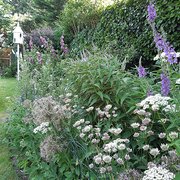 Northamptonshire, East Midlands, UK