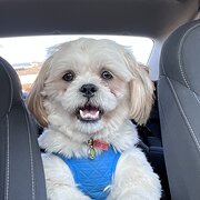 Greenwood, Western Australia, Australia