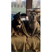 Tatura, Victoria, Australia