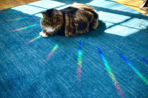 Oakland, California, United States