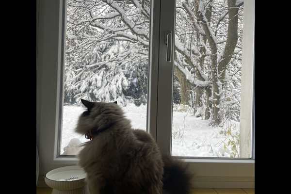 Zürich, Zurich, Switzerland