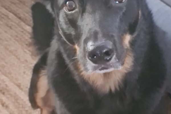 Perth, Western Australia, Australia