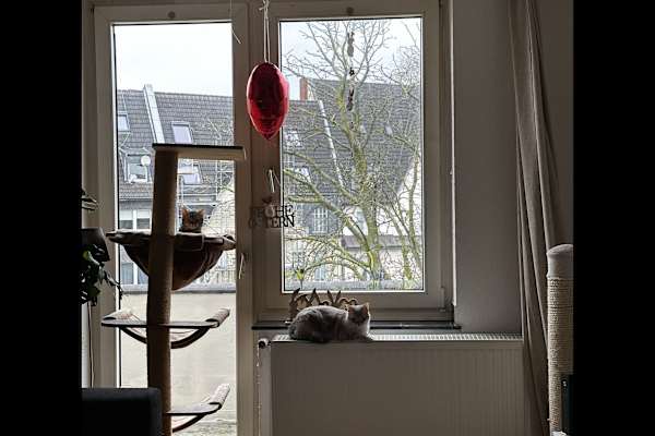 Köln, North Rhine-Westphalia, Germany