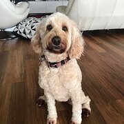 Mountain Creek, Queensland, Australia