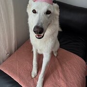 Wembley, Western Australia, Australia