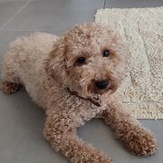 Arundel, Queensland, Australia