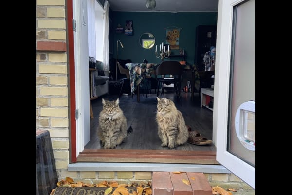 Vanløse, Zealand, Denmark