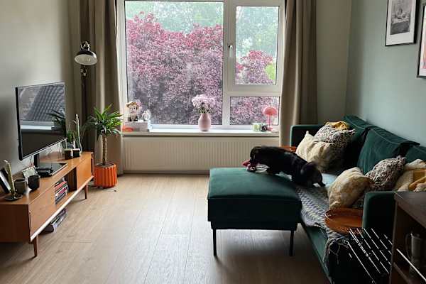 Amsterdam, North Holland, Netherlands