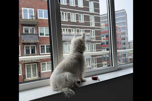 Amsterdam, North Holland, Netherlands