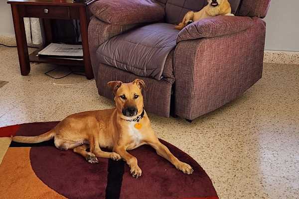 Boquete, Chiriqui, Panama