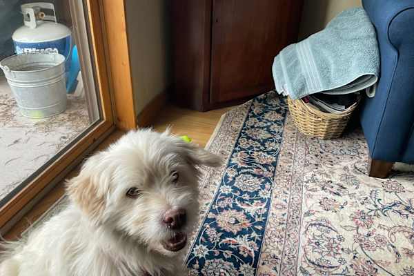 Breckenridge, Colorado, United States