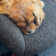 Malvern, Victoria, Australia