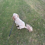 Carine, Western Australia, Australia