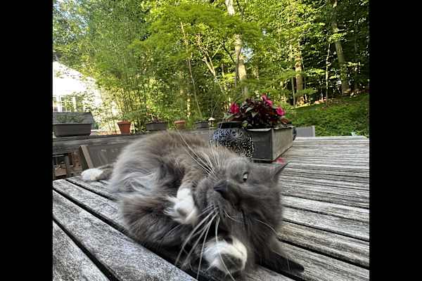 Philadelphia, Pennsylvania, United States