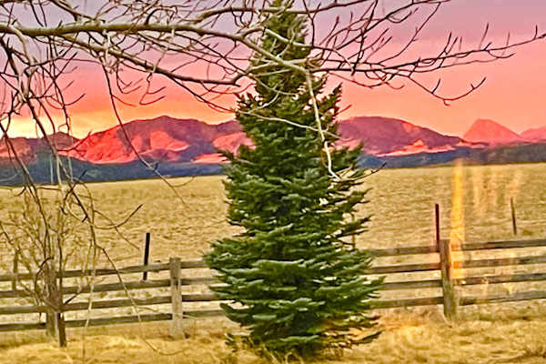 Wellington, Colorado, United States