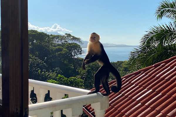 Dominical, Puntarenas, Costa Rica
