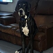 Arundel, Queensland, Australia