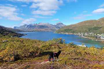 Tromsø,Troms,Norway