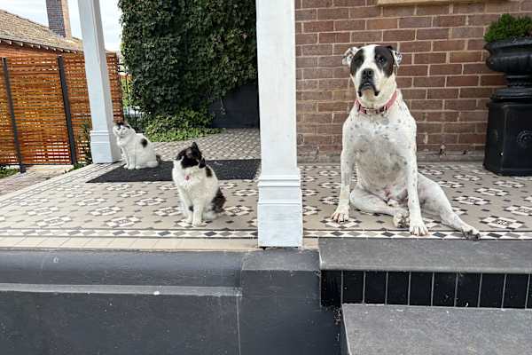 Goulburn, New South Wales, Australia