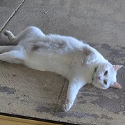 Alexander Heights, Western Australia, Australia