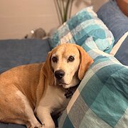 Kingston, Australian Capital Territory, Australia