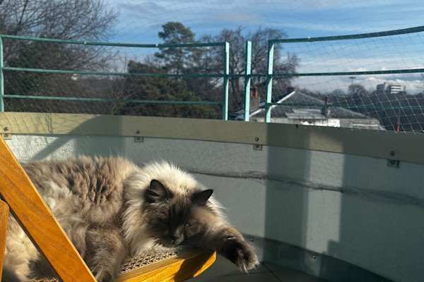 Genève, Geneva, Switzerland