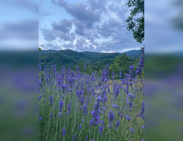 Sassuolo, Emilia-Romagna, Italy