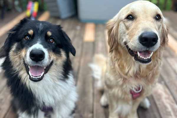 Montréal, Quebec, Canada