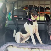 Coleyville Scenic Rim Qld, Queensland, Australia