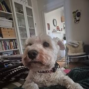 Mile End, South Australia, Australia