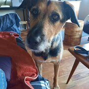 Hepburn, Victoria, Australia