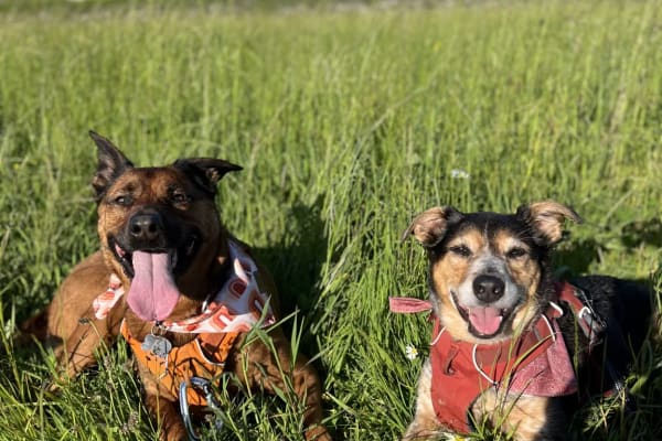 Au, Saint Gallen, Switzerland