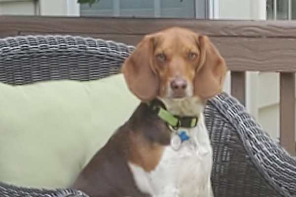 Leesburg, Virginia, United States