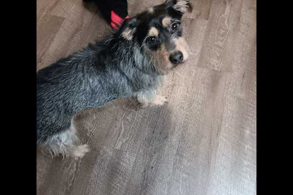 Northville, Michigan, United States