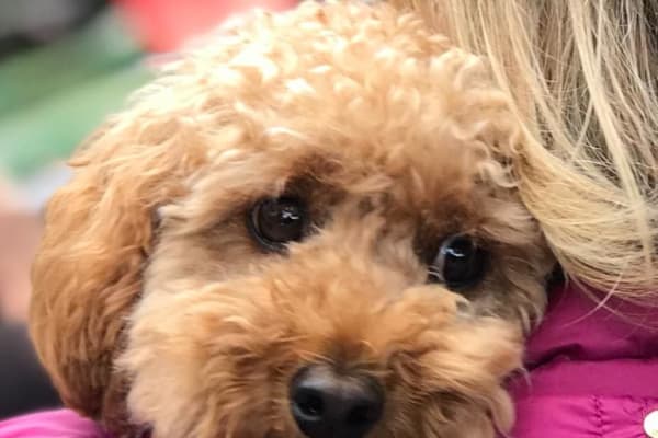 Edinburgh, Scotland, United Kingdom