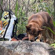 Swanbourne, Western Australia, Australia